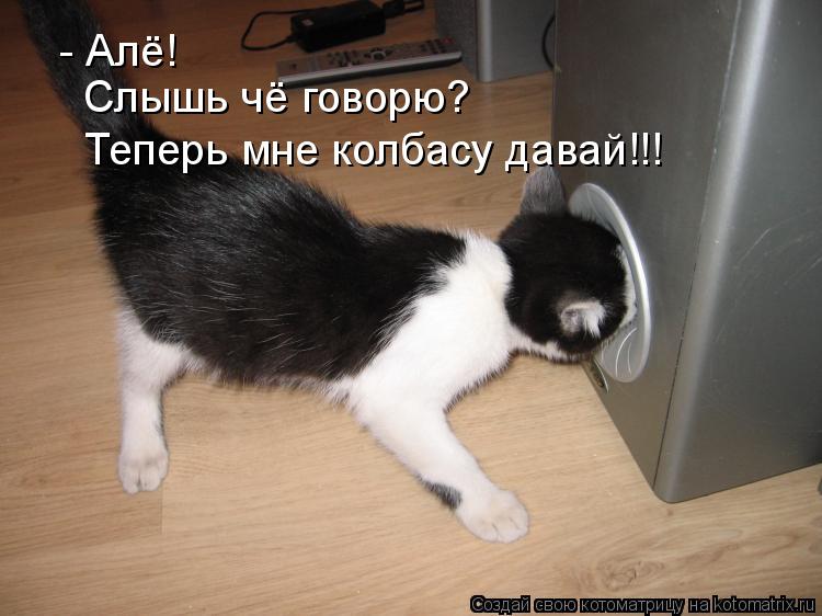 Котоматрица: - Алё! Слышь чё говорю? Теперь мне колбасу давай!!!