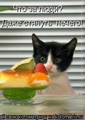 Котоматрица: Что за люди? Даже стянуть  нечего!