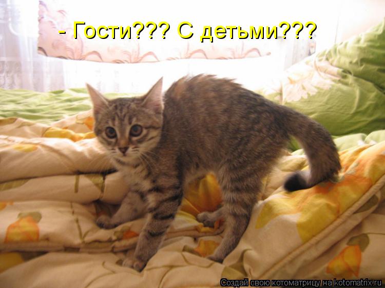 Котоматрица: - Гости??? С детьми???