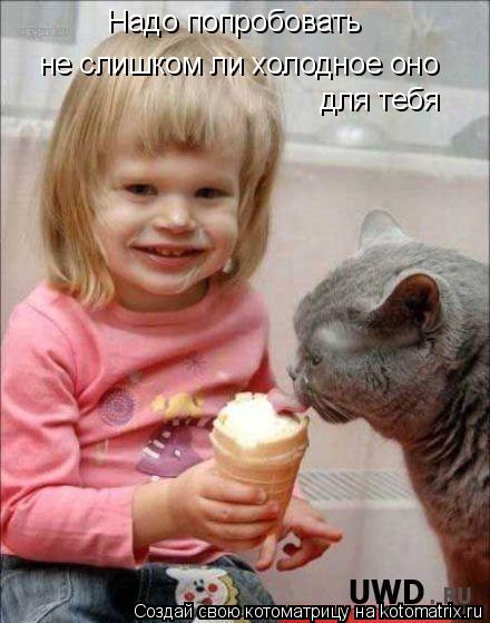 Котоматрица: Надо попробовать  не слишком ли холодное оно  для тебя