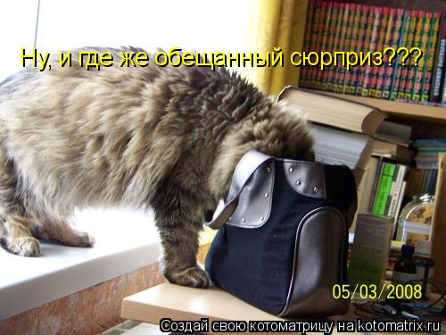 Котоматрица: Ну, и где же обещанный сюрприз???