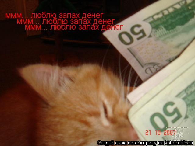 Котоматрица: ммм... люблю запах денег ммм... люблю запах денег ммм... люблю запах денег