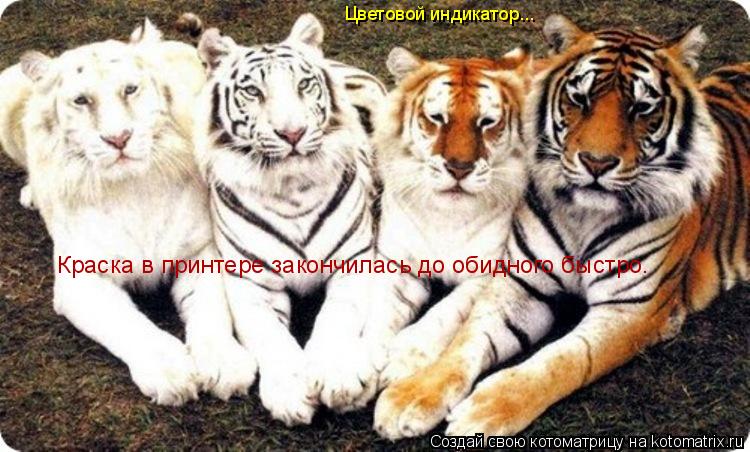 Котоматрица: Цветовой индикатор... Краска в принтере закончилась до обидного быстро.