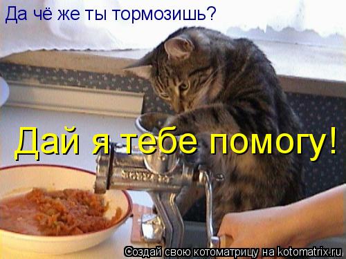 Котоматрица: Да чё же ты тормозишь? Дай я тебе помогу!