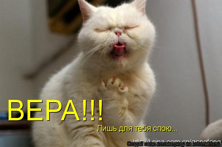 Котоматрица: ВЕРА!!! Лишь для тебя спою...