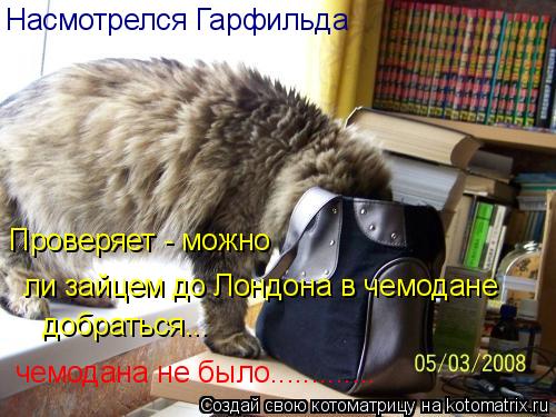 Котоматрица: Насмотрелся Гарфильда Проверяет - можно ли зайцем до Лондона в чемодане добраться... чемодана не было.............