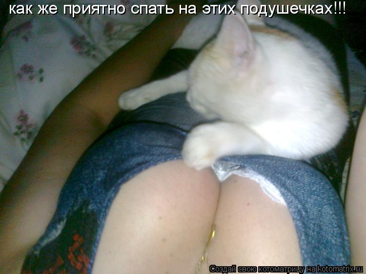 Котоматрица: как же приятно спать на этих подушечках!!!