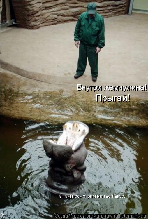 Котоматрица: Внутри жемчужина! Прыгай! а там посмотрим на твой вкус.