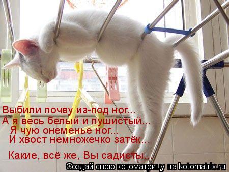 Котоматрица: Выбили почву из-под ног... А я весь белый и пушистый... Я чую онеменье ног... И хвост немножечко затёк... Какие, всё же, Вы садисты...
