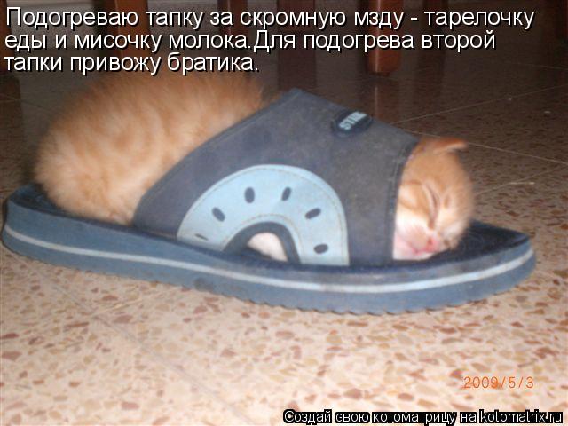 Котоматрица: Подогреваю тапку за скромную мзду - тарелочку еды и мисочку молока.Для подогрева второй  тапки привожу братика.