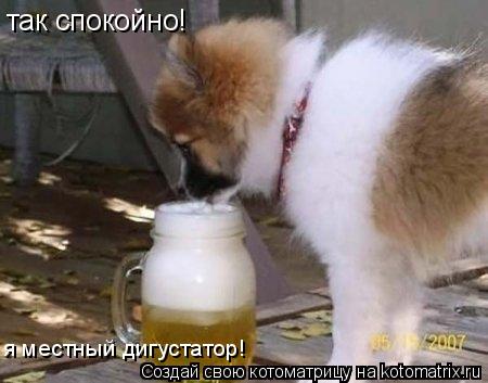 Котоматрица: так спокойно! я местный дигустатор!