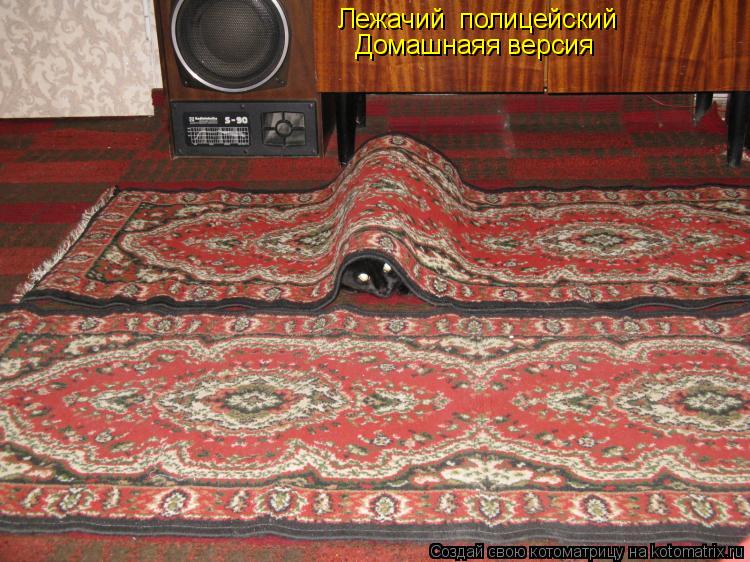 Лежачий полицейский Домашнаяя версия... Котоматрица: Лежачий полицейский Домашнаяя версия