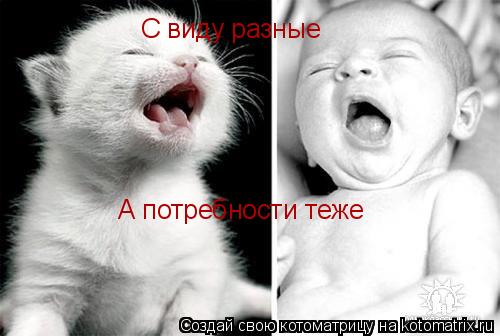 С виду разные А потребности теже... Котоматрица: С виду разные А потребности теже