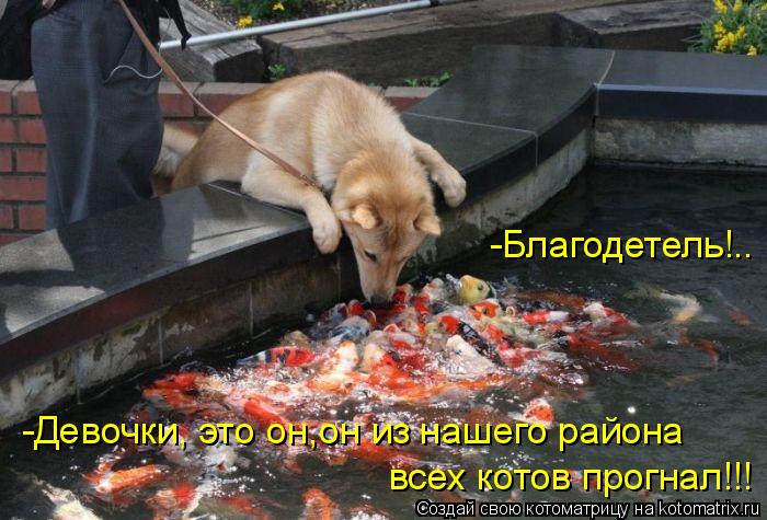всех котов прогнал!!! -Девочки, это он,он из нашего района -Благодетель!..... Котоматрица: всех котов прогнал!!! -Девочки, это он,он из нашего района -Благодетель!..