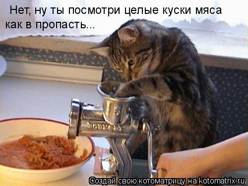 Нет, ну ты посмотри целые куски мяса как в пропасть...... Котоматрица: Нет, ну ты посмотри целые куски мяса как в пропасть...