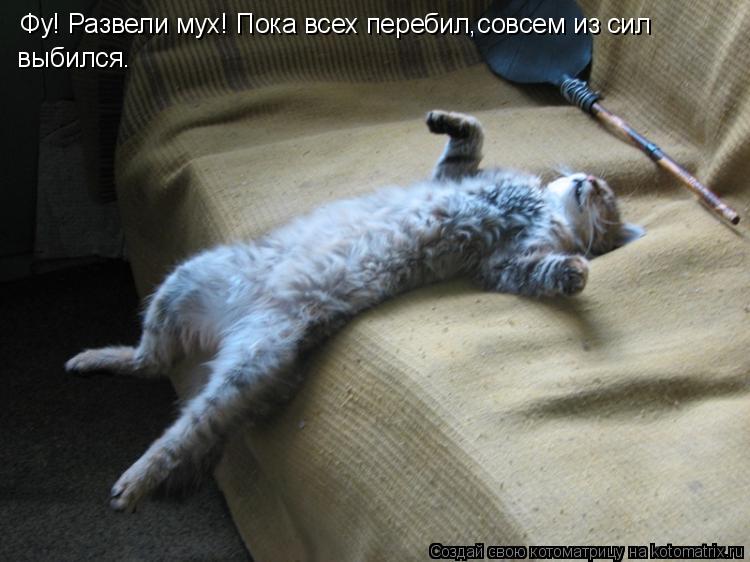 Фу! Развели мух! Пока всех перебил,совсем из сил выбился.... Котоматрица: Фу! Развели мух! Пока всех перебил,совсем из сил выбился.