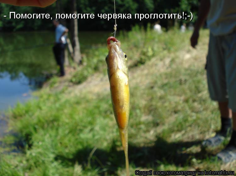 - Помогите, помогите червяка проглотить!;-)... Котоматрица: - Помогите, помогите червяка проглотить!;-)