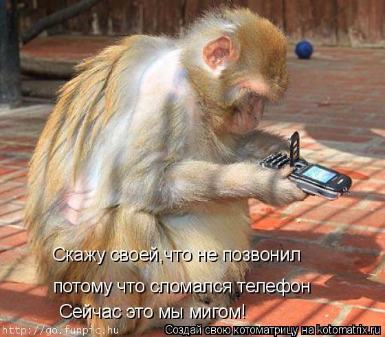 Скажу своей,что не позвонил потому что сломался телефон Сейчас это мы мигом!... Котоматрица: Скажу своей,что не позвонил потому что сломался телефон Сейчас это мы мигом!