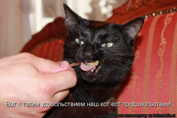 Вот с таким удовольствием наш кот ест продовольствие!... Котоматрица: Вот с таким удовольствием наш кот ест продовольствие!