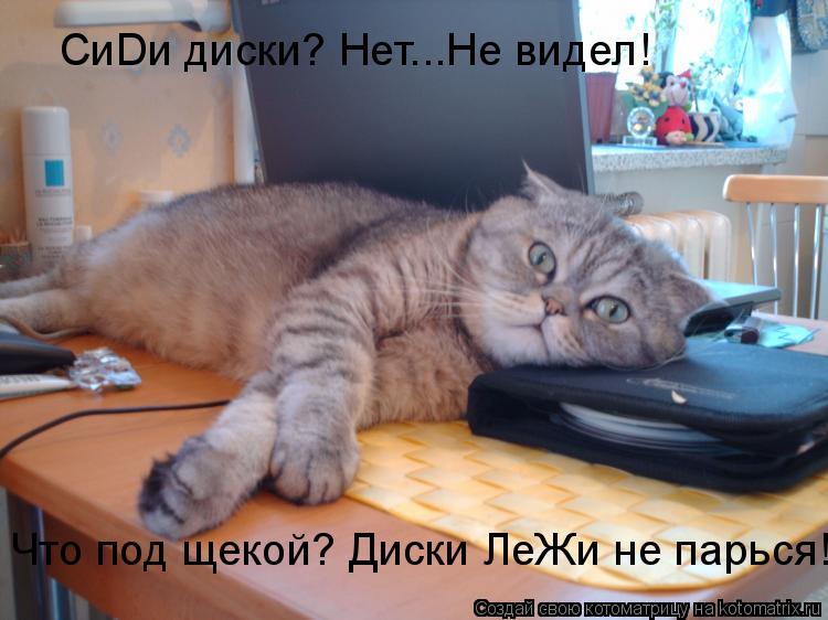 CиDи диски? Нет...Не видел! Что под щекой? Диски ЛеЖи не парься!... Котоматрица: CиDи диски? Нет...Не видел! Что под щекой? Диски ЛеЖи не парься!