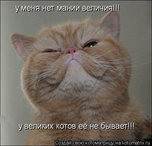 у меня нет мании величия!!! у великих котов её не бывает!!!... Котоматрица: у меня нет мании величия!!! у великих котов её не бывает!!!