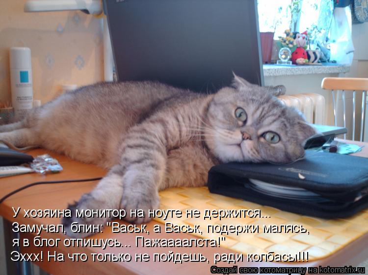У хозяина монитор на ноуте не держится... Замучал, блин: "Васьк, а Васьк, подержи малясь, я в блог от... Котоматрица: У хозяина монитор на ноуте не держится... Замучал, блин: "Васьк, а Васьк, подержи малясь, я в блог отпишусь... Пажаааалста!" Эххх! На что только н