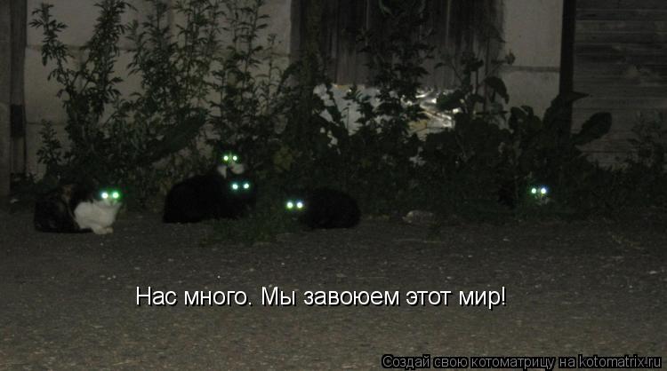 Нас много. Мы завоюем этот мир!... Котоматрица: Нас много. Мы завоюем этот мир!