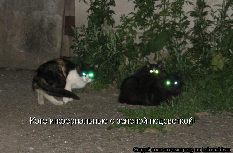 Коте инфернальные с зеленой подсветкой!... Котоматрица: Коте инфернальные с зеленой подсветкой!