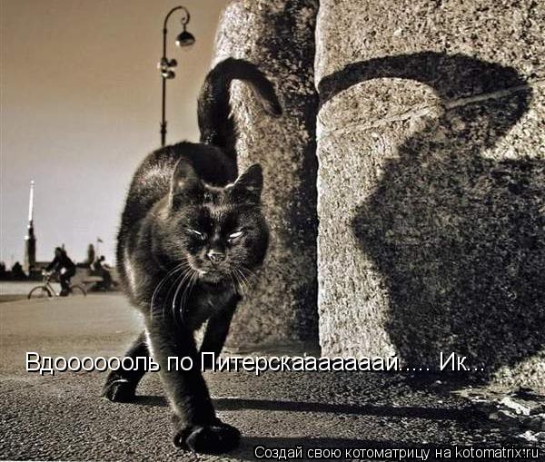 Вдооооооль по Питерскааааааай..... Ик...... Котоматрица: Вдооооооль по Питерскааааааай..... Ик...