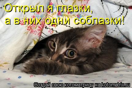 Открыл я глазки, а в них одни соблазки!... Котоматрица: Открыл я глазки, а в них одни соблазки!