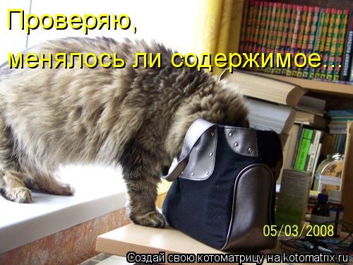 Проверяю, менялось ли содержимое...... Котоматрица: Проверяю, менялось ли содержимое...