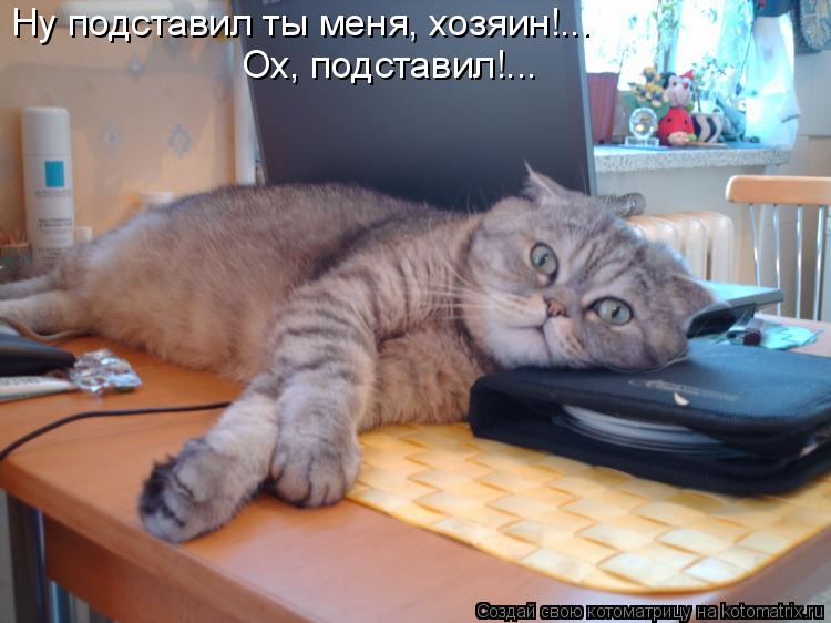 Ну подставил ты меня, хозяин!... Ох, подставил!...... Котоматрица: Ну подставил ты меня, хозяин!... Ох, подставил!...