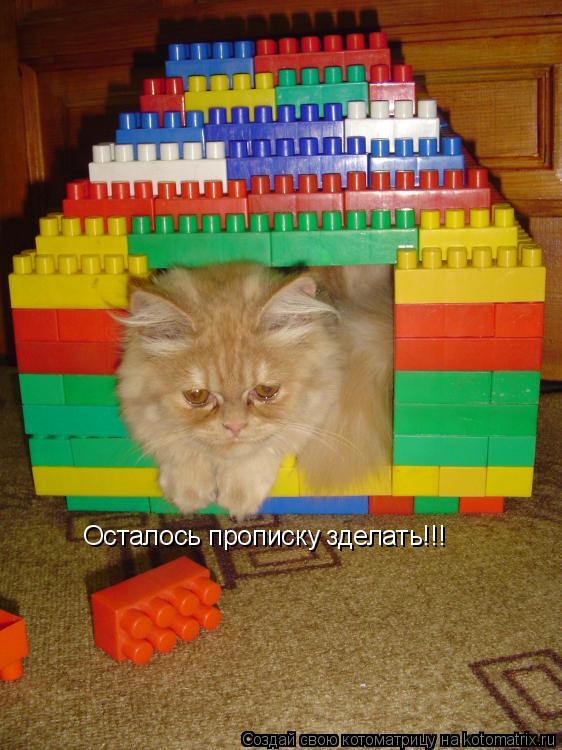 Осталось прописку зделать!!!... Котоматрица: Осталось прописку зделать!!!