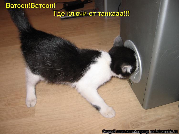 Ватсон!Ватсон! Где ключи от танкааа!!!... Котоматрица: Ватсон!Ватсон! Где ключи от танкааа!!!