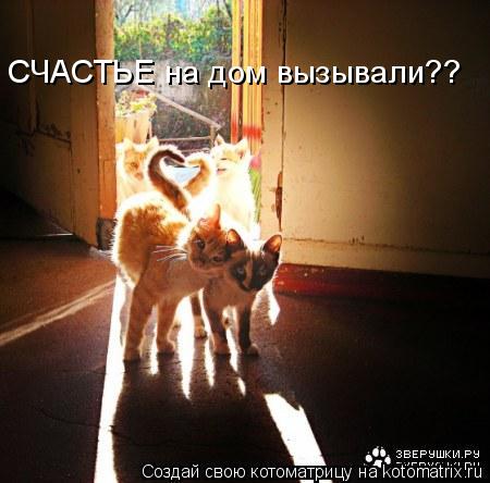 Котоматрица: СЧАСТЬЕ на дом вызывали??