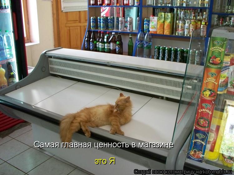 Самая главная ценность в магазине это Я... Котоматрица: Самая главная ценность в магазине это Я