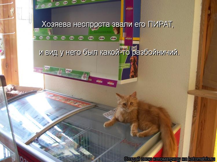 Хозяева неспроста звали его ПИРАТ, и вид у него был какой-то разбойничий.... Котоматрица: Хозяева неспроста звали его ПИРАТ, и вид у него был какой-то разбойничий.
