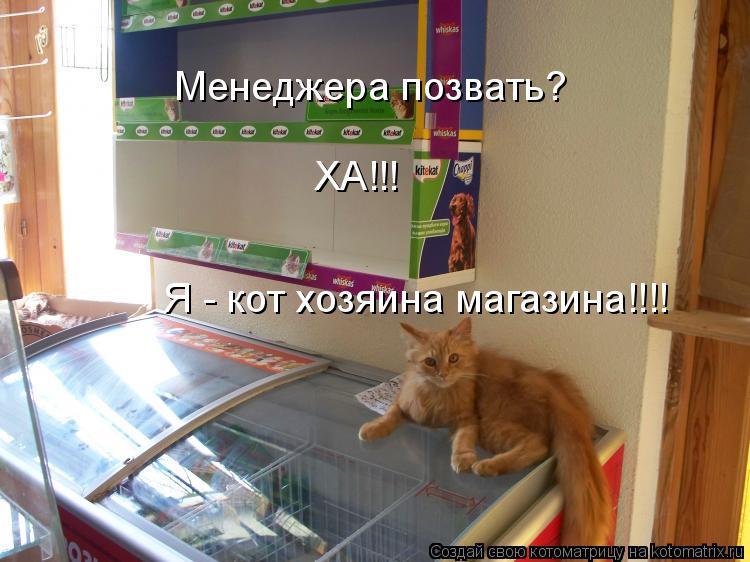 Менеджера позвать? ХА!!! Я - кот хозяина магазина!!!!... Котоматрица: Менеджера позвать? ХА!!! Я - кот хозяина магазина!!!!