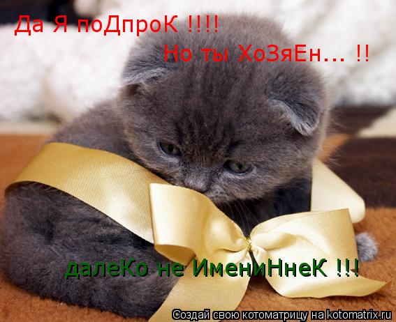 Да Я поДпроК !!!! Но ты ХоЗяЕн... !! далеКо не ИмениНнеК !!!... Котоматрица: Да Я поДпроК !!!! Но ты ХоЗяЕн... !! далеКо не ИмениНнеК !!!