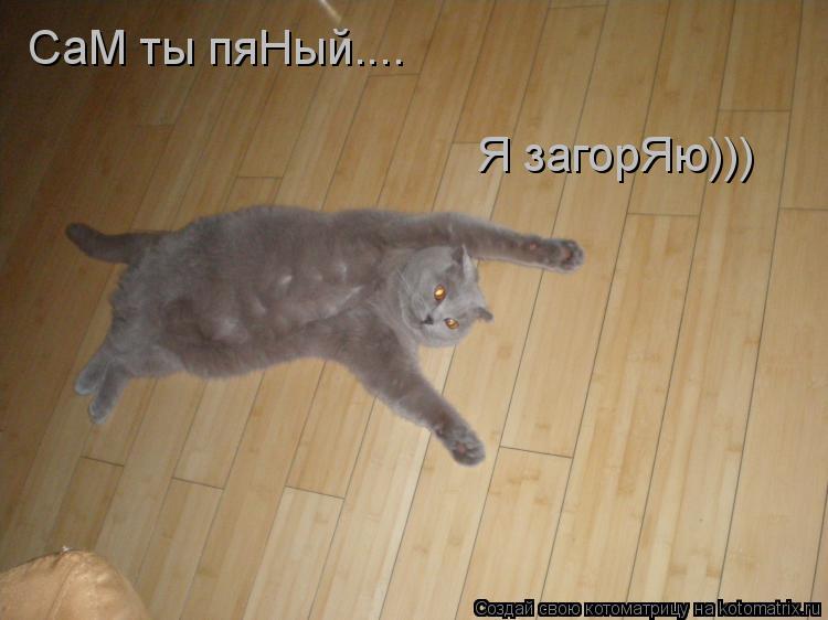 СаМ ты пяНый.... Я загорЯю)))... Котоматрица: СаМ ты пяНый.... Я загорЯю)))