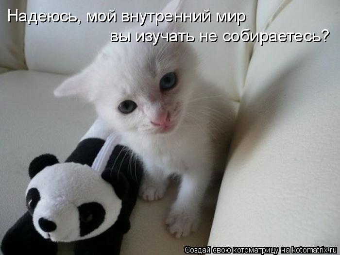Надеюсь, мой внутренний мир вы изучать не собираетесь?... Котоматрица: Надеюсь, мой внутренний мир вы изучать не собираетесь?