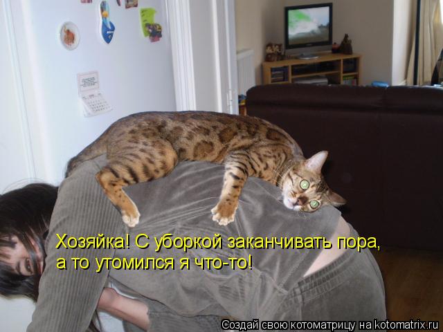 Котоматрица: Хозяйка! С уборкой заканчивать пора,  а то утомился я что-то!