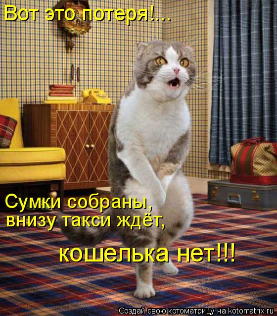 Вот это потеря!... Сумки собраны, внизу такси ждёт, кошелька нет!!!... Котоматрица: Вот это потеря!... Сумки собраны, внизу такси ждёт, кошелька нет!!!