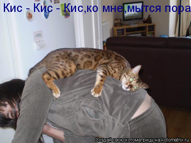 Котоматрица: Кис - Кис - Кис,ко мне,мытся пора