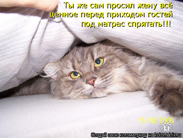 Котоматрица: Ты же сам просил жену всё ценное перед приходом гостей  под матрас спрятать!!!