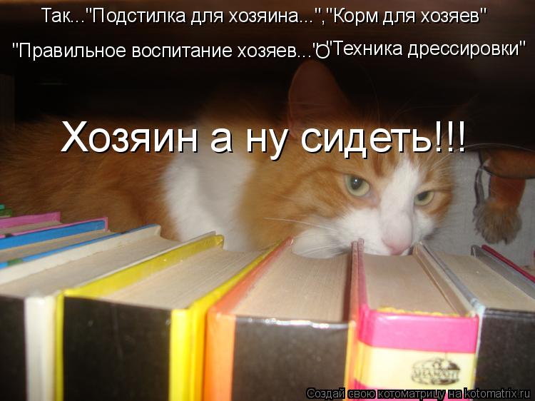 Котоматрица: Так..."Подстилка для хозяина...","Корм для хозяев" "Правильное воспитание хозяев..." "Техника дрессировки" О Хозяин а ну сидеть!!!