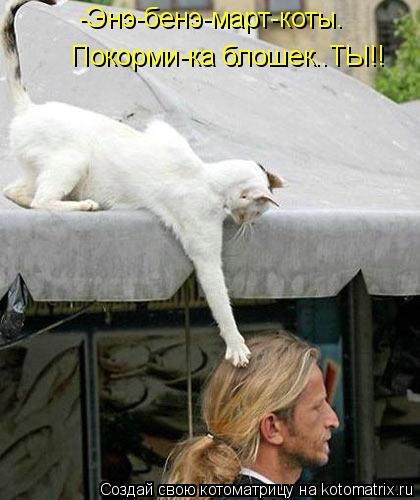 -Энэ-бенэ-март-коты. Покорми-ка блошек..ТЫ!!... Котоматрица: -Энэ-бенэ-март-коты. Покорми-ка блошек..ТЫ!!