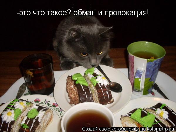 Котоматрица: -это что такое? обман и провокация!