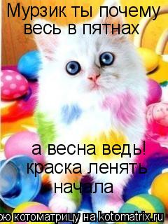 Котоматрица: Мурзик ты почему весь в пятнах а весна ведь! краска ленять  начала