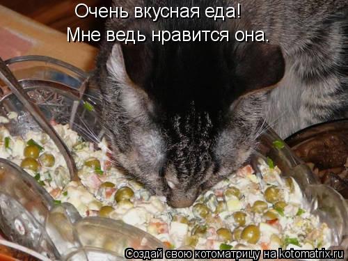 Котоматрица: Очень вкусная еда! Мне ведь нравится она.